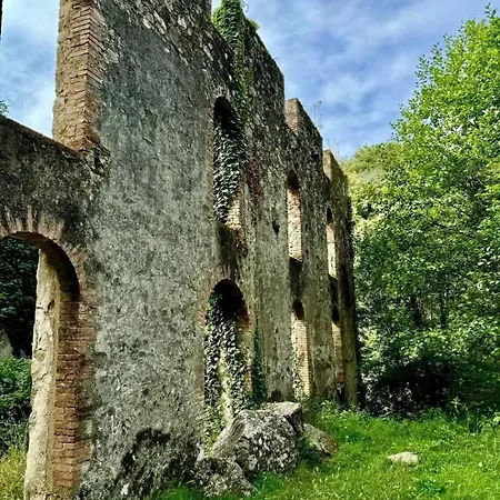 Camping Le Fief *